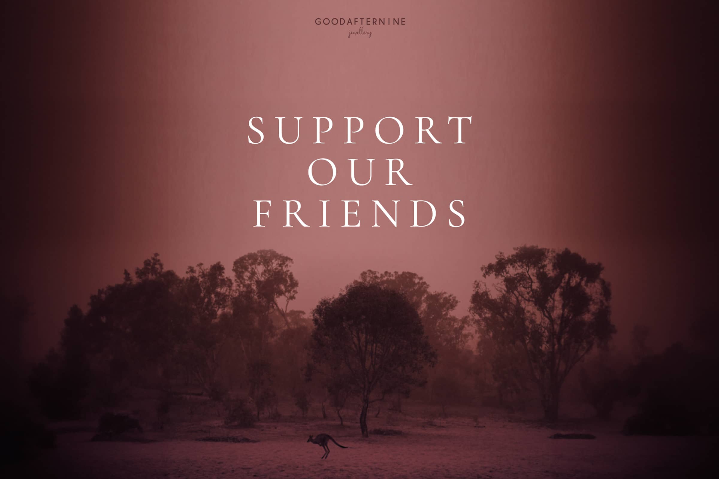 Campaign Support Our Friends Goodafternine