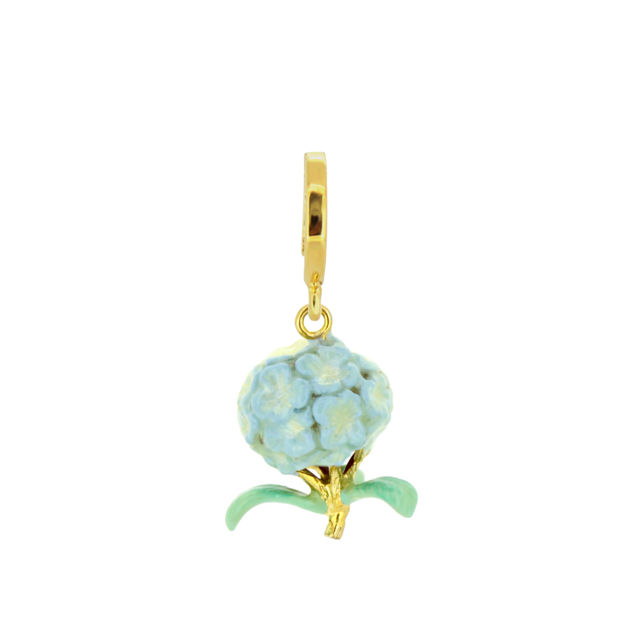 Hydrangea Cyan Charm | Bloom