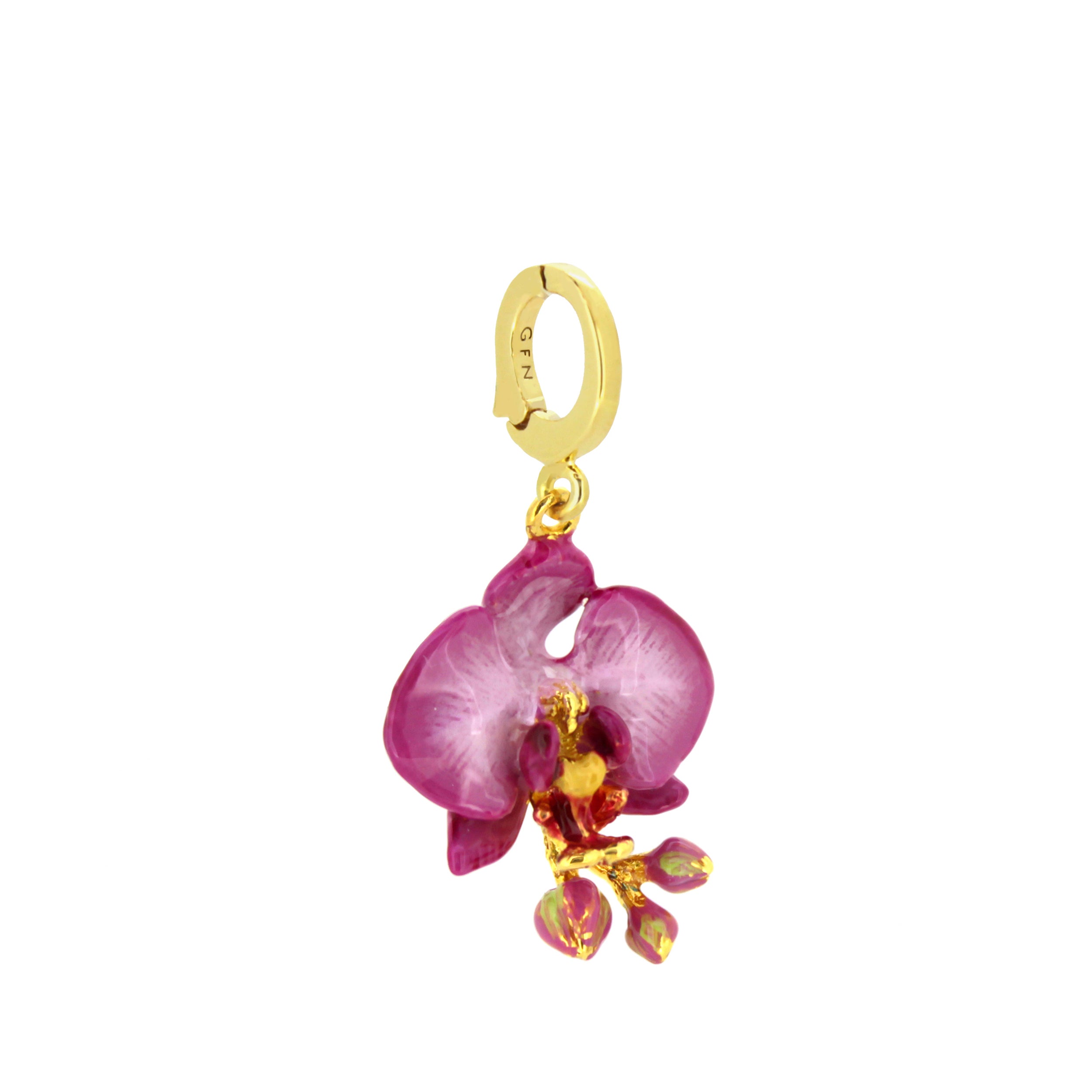 Phalaen Purple Charm | Bloom