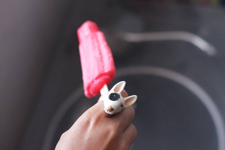 A cute Bull Terrier dog ring is worn on a hand holding a red popsicle.