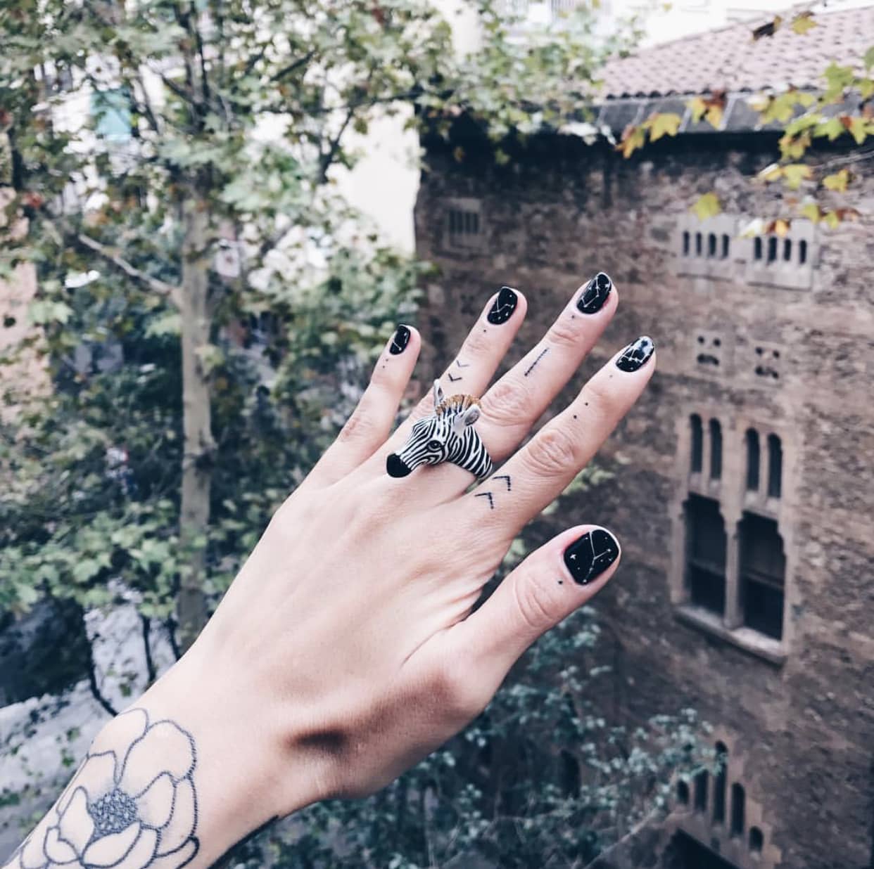 Close-up of a hand with zebra ring and black nail art against a natural backdrop.