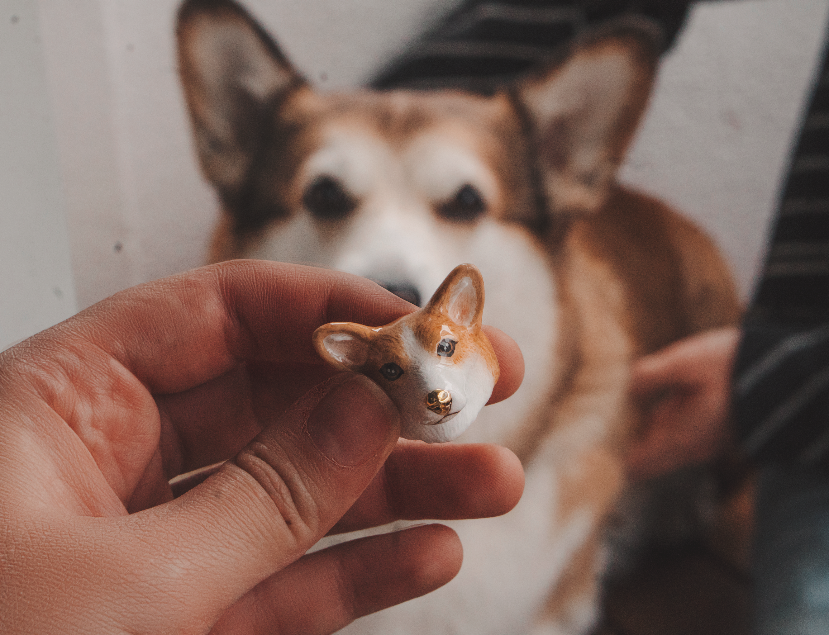 A hand holding a cute corgi dog ring with a dog picture in the background.