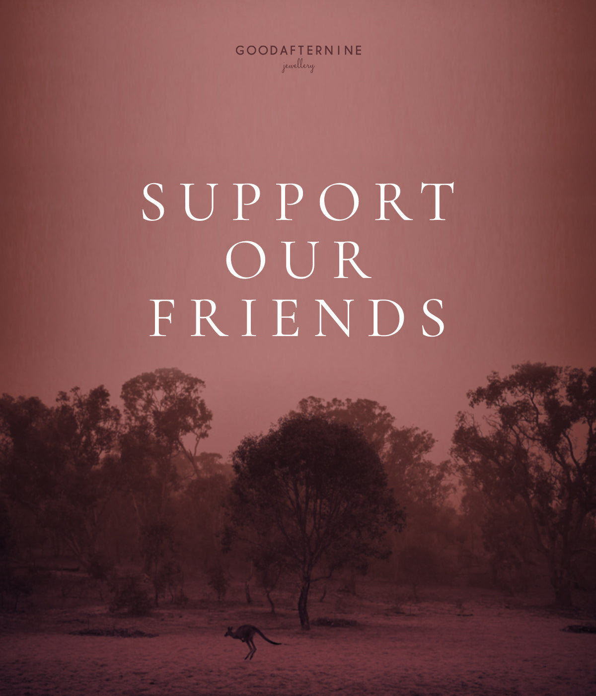 CAMPAIGN | Support Our Friends.