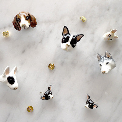DOGS