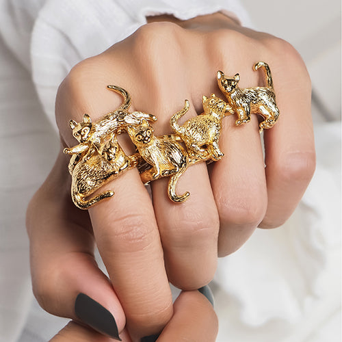 MurMur Collection