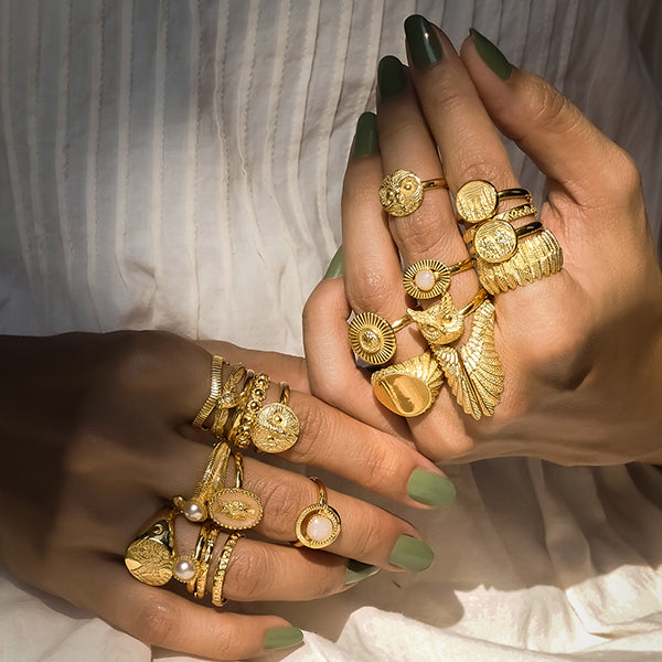 Wild Wisdom Collection