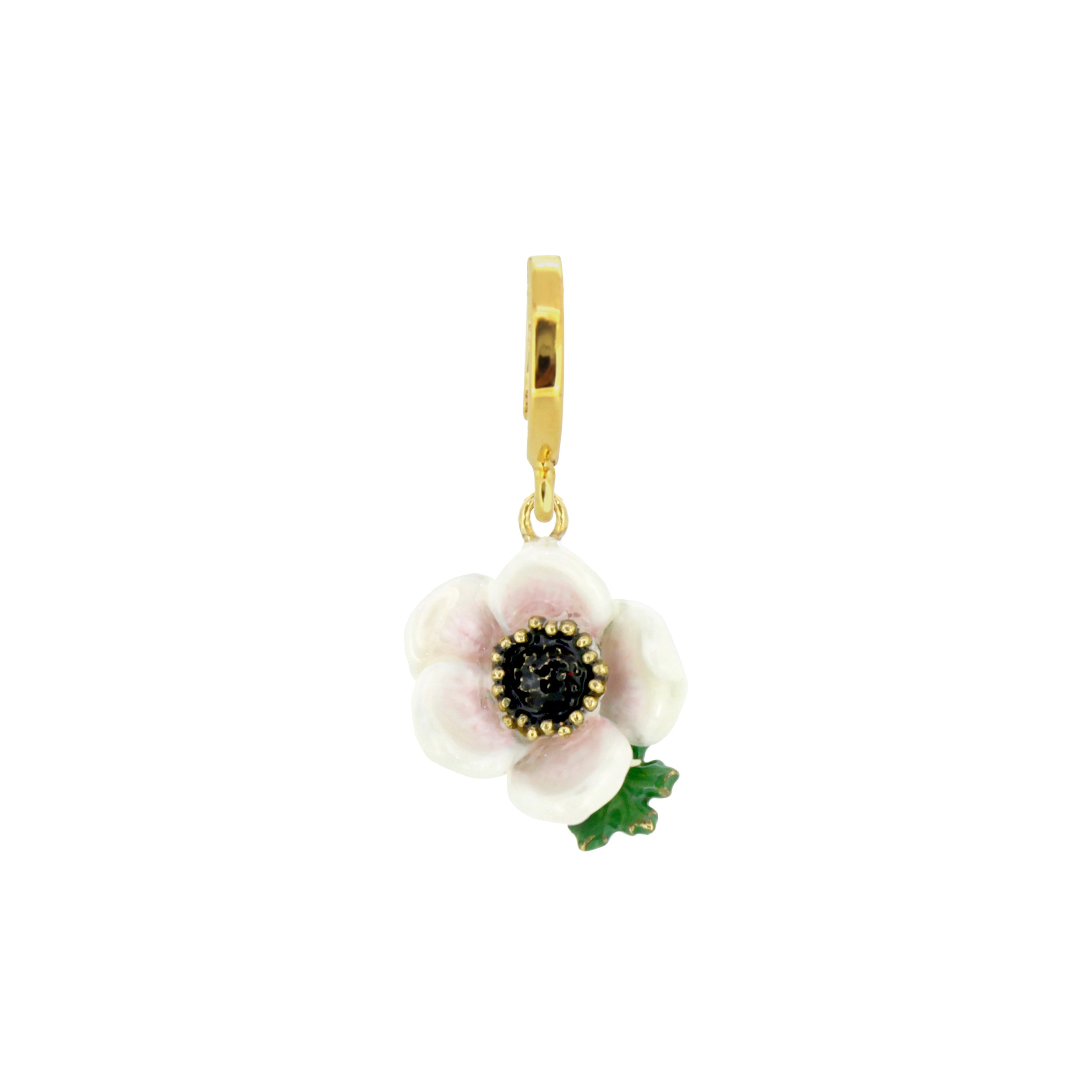 Anemone White Charm | Bloom