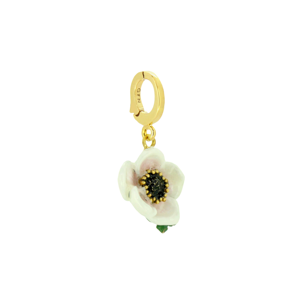 Anemone White Charm | Bloom