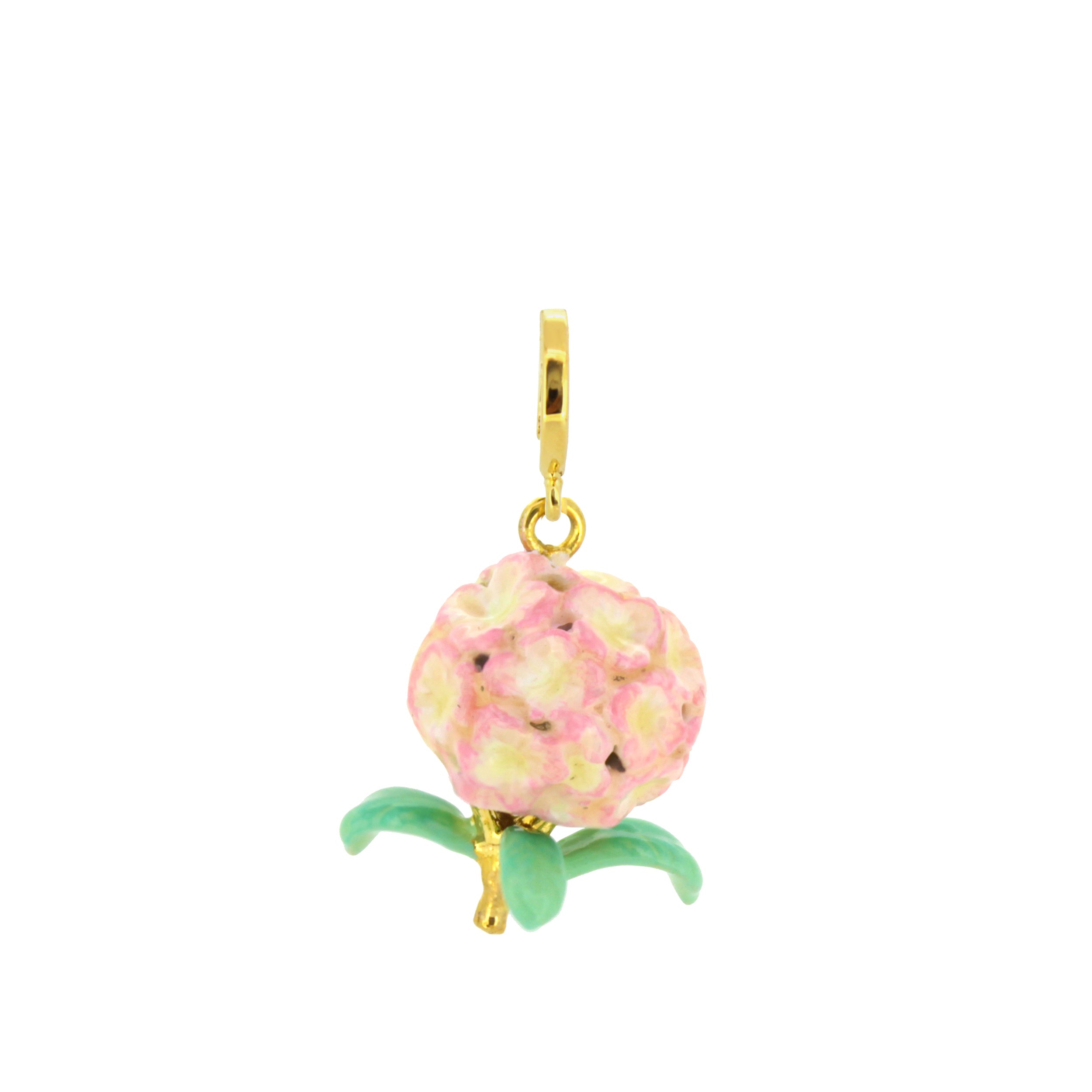 Hydrangea Pink Charm | Bloom