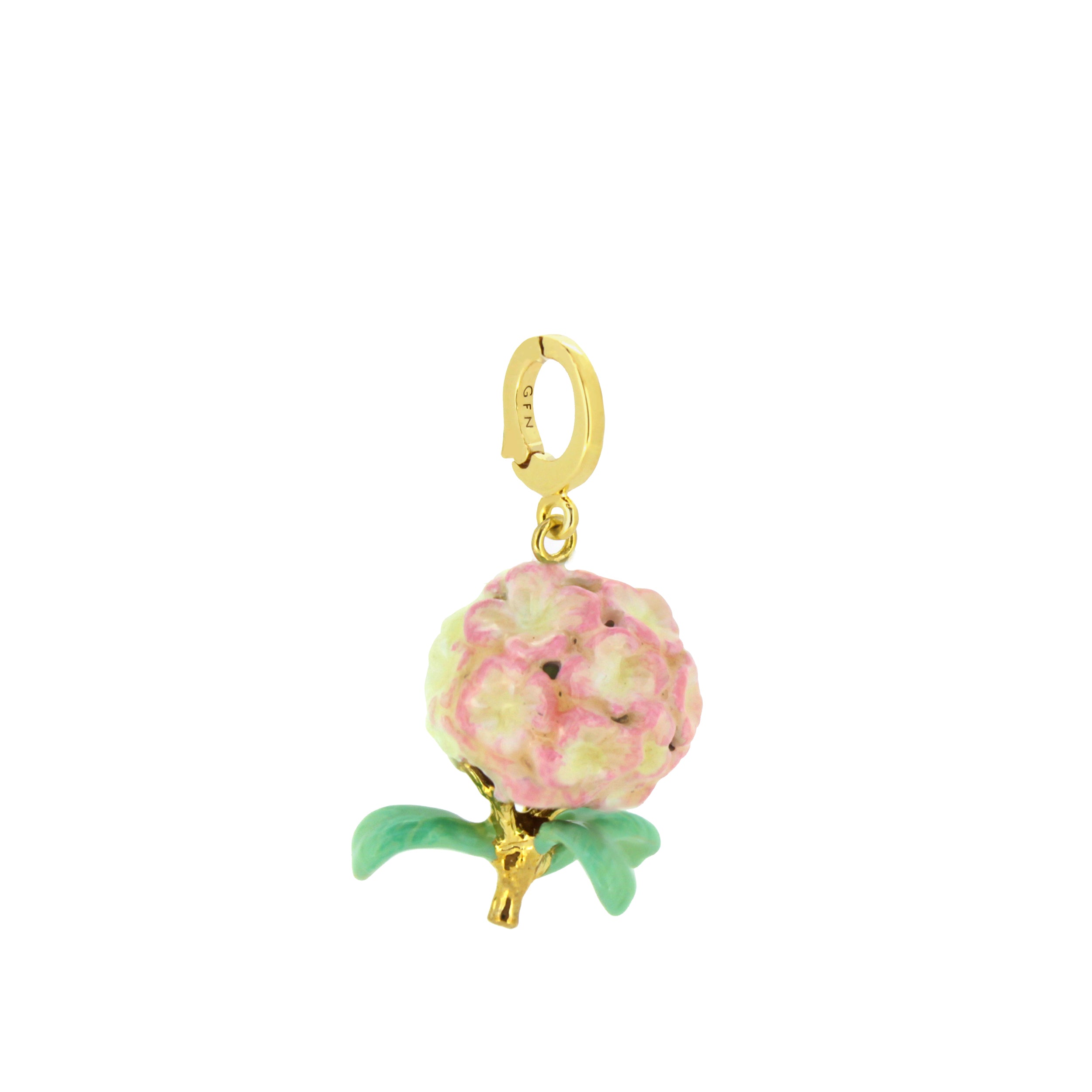 Hydrangea Pink Charm | Bloom