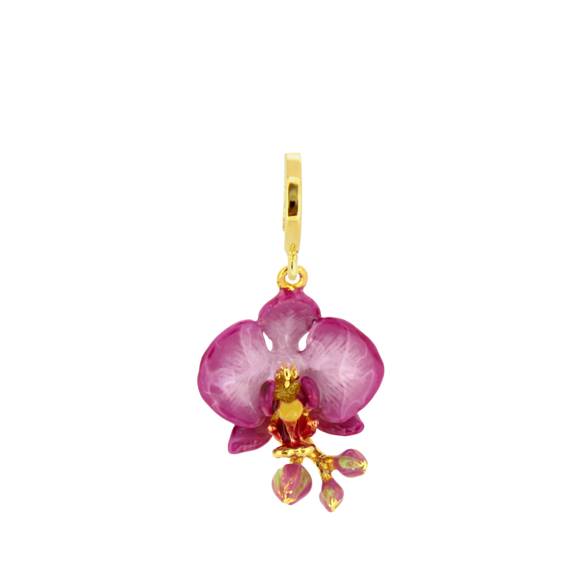 Phalaen Purple Charm | Bloom