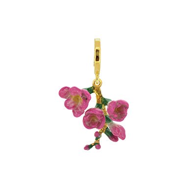 Freesia Charm | Bloom