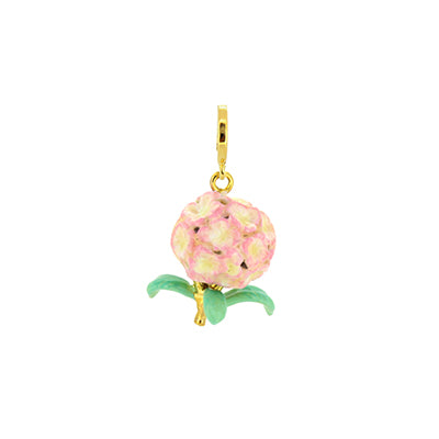 Hydrangea Pink Charm | Bloom