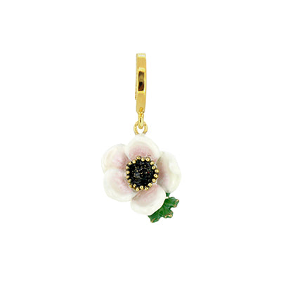 Anemone White Charm | Bloom
