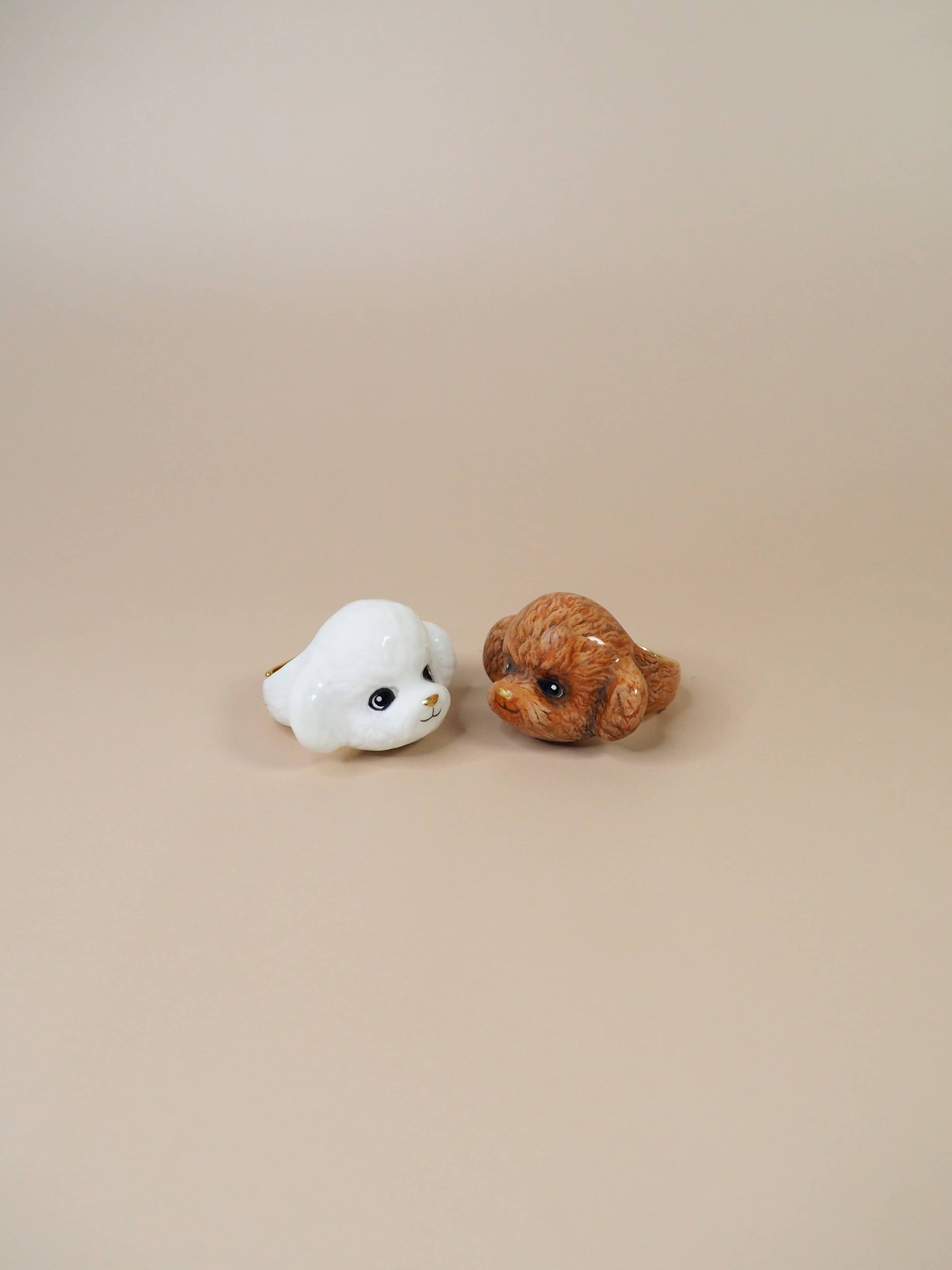 Adorable poodle rings featuring a white and brown dog design.