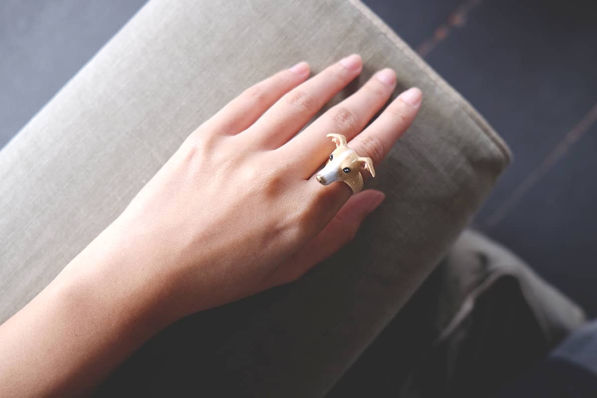 A hand wearing a Italian Greyhound dog ring gently rest on the sofa.