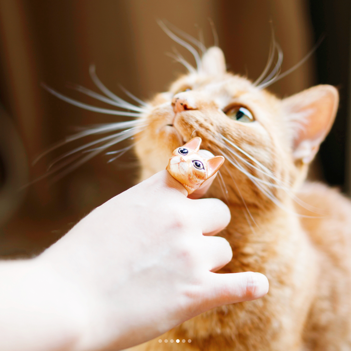 A person wearing a cute orange cat ring while interacting with a ginger cat.